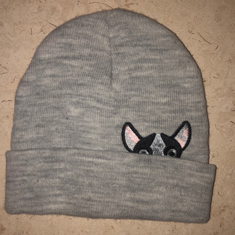 NWOT Gray Peek-a-boo puppy hat